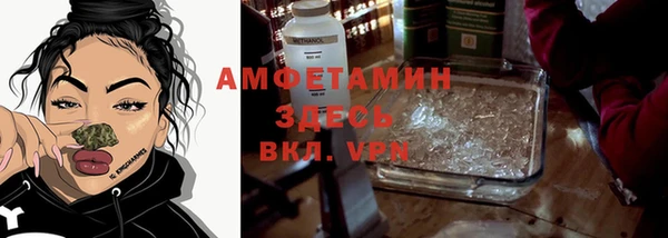 ГАЛЛЮЦИНОГЕННЫЕ ГРИБЫ Беломорск