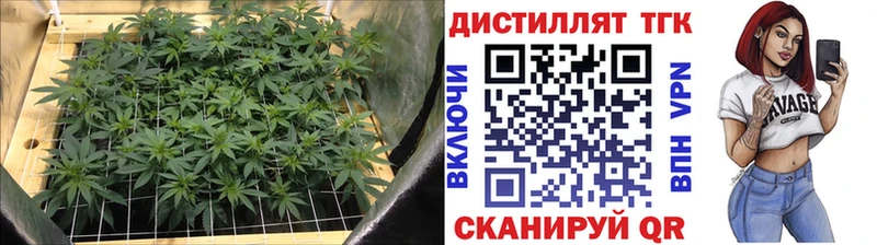 ТГК вейп  Обь 