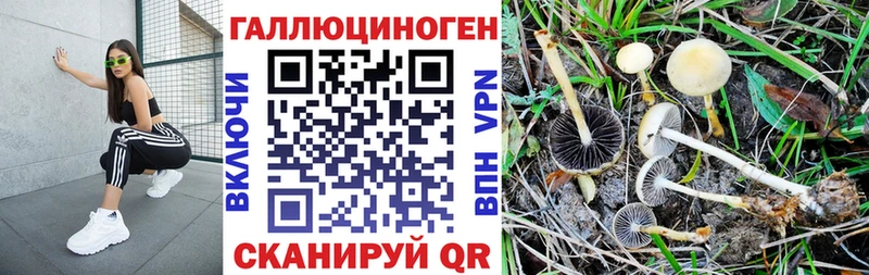 Галлюциногенные грибы GOLDEN TEACHER  что такое наркотик  Обь 